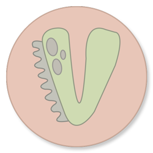 Illustrated Caps style sticker of the letter V inspired by dinousaurs in 2 different shades of green inside a pastel pink circle